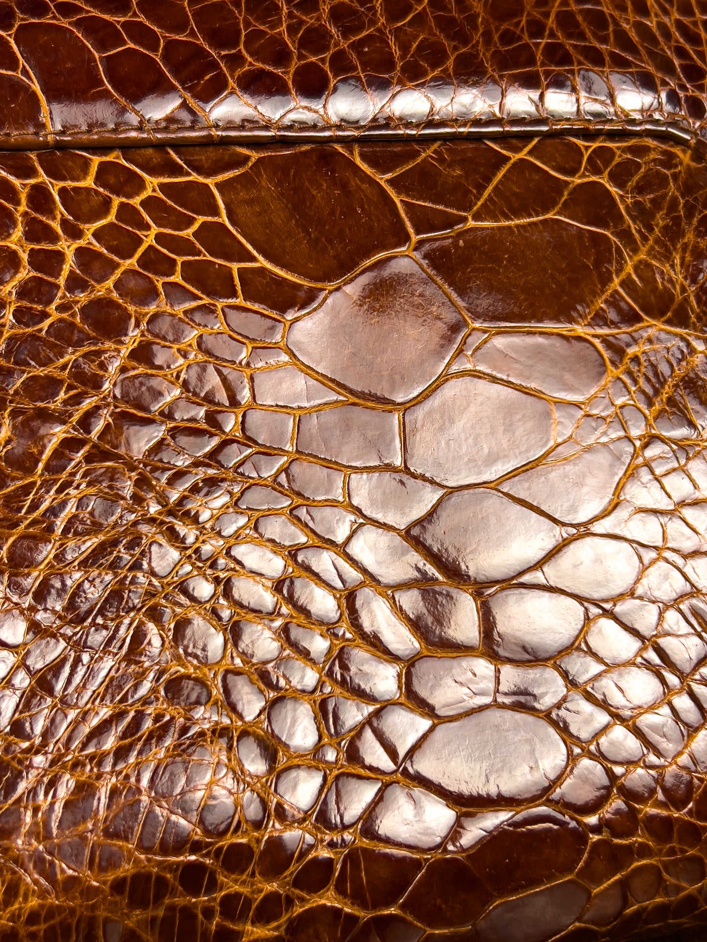 Borsa in Coccodrillo